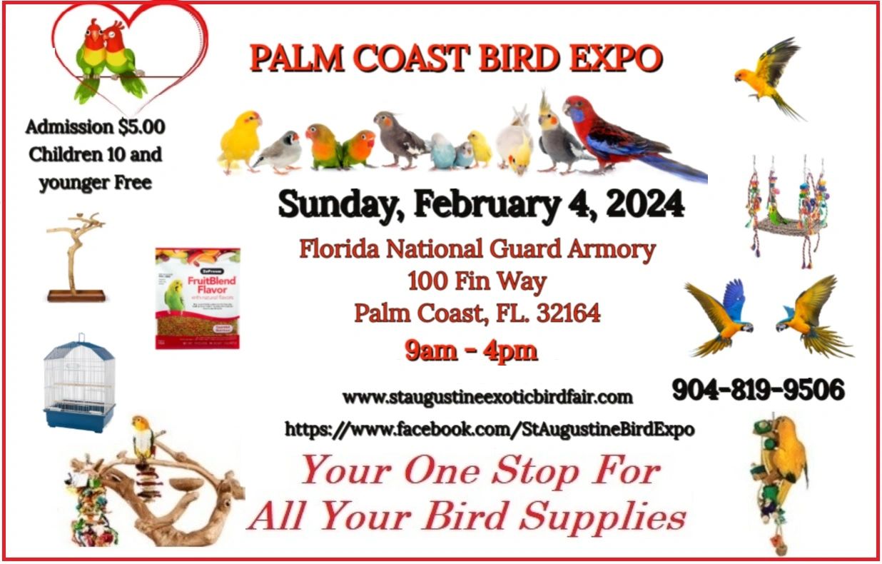 Saint Augustine Bird Expo